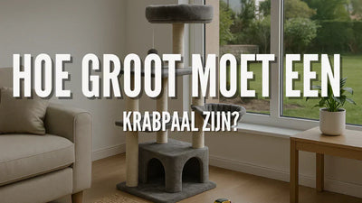Hoe groot moet een krabpaal zijn?