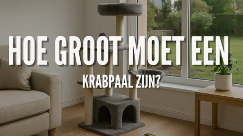 Hoe groot moet een krabpaal zijn?