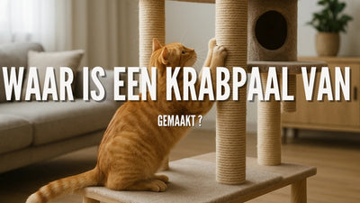 Waar is een krabpaal van gemaakt ?