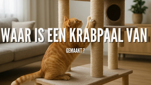Waar is een krabpaal van gemaakt ?